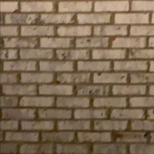 Meet your Posher, Randy